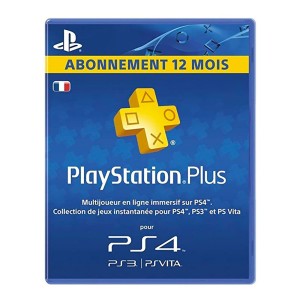 MANETTES CARTE LIVECARDS PS+ PS4 PSNP1AN - SONY
